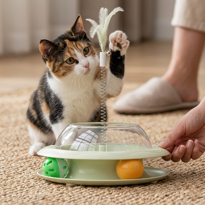 4-in-1 Interactive Tumbler Toy