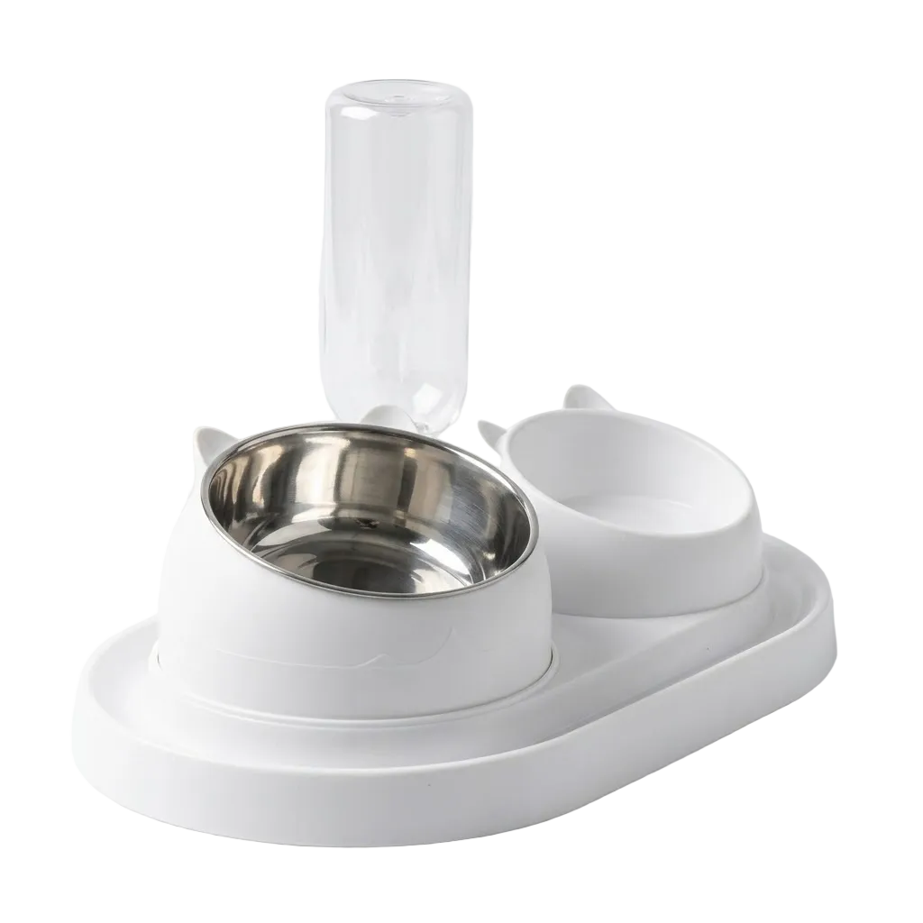 2-in-1 Automatic Waterer and Food Bowl Feeding Station