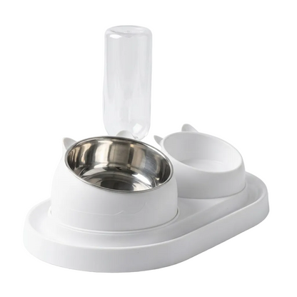 2-in-1 Automatic Waterer and Food Bowl Feeding Station