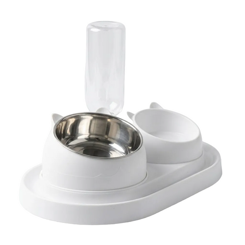 2-in-1 Automatic Waterer and Food Bowl Feeding Station