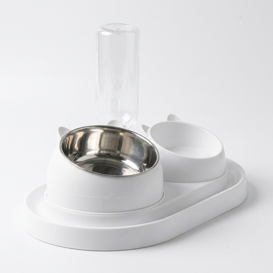 2-in-1 Automatic Waterer and Food Bowl Feeding Station